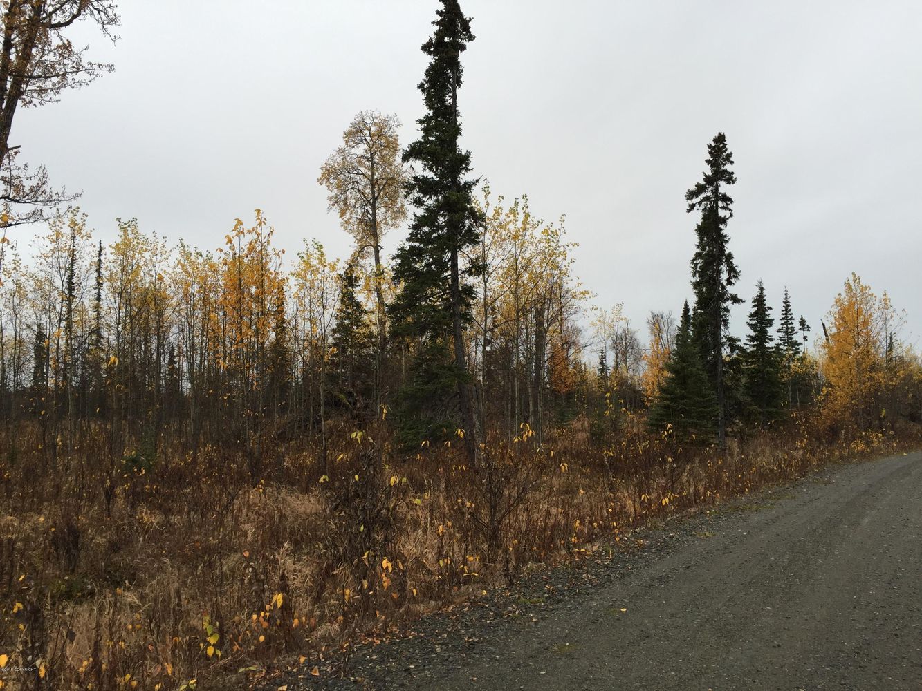 63885 Tailwind Rd, Ninilchik, AK 99639